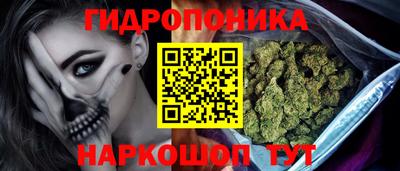 шишки Ливны