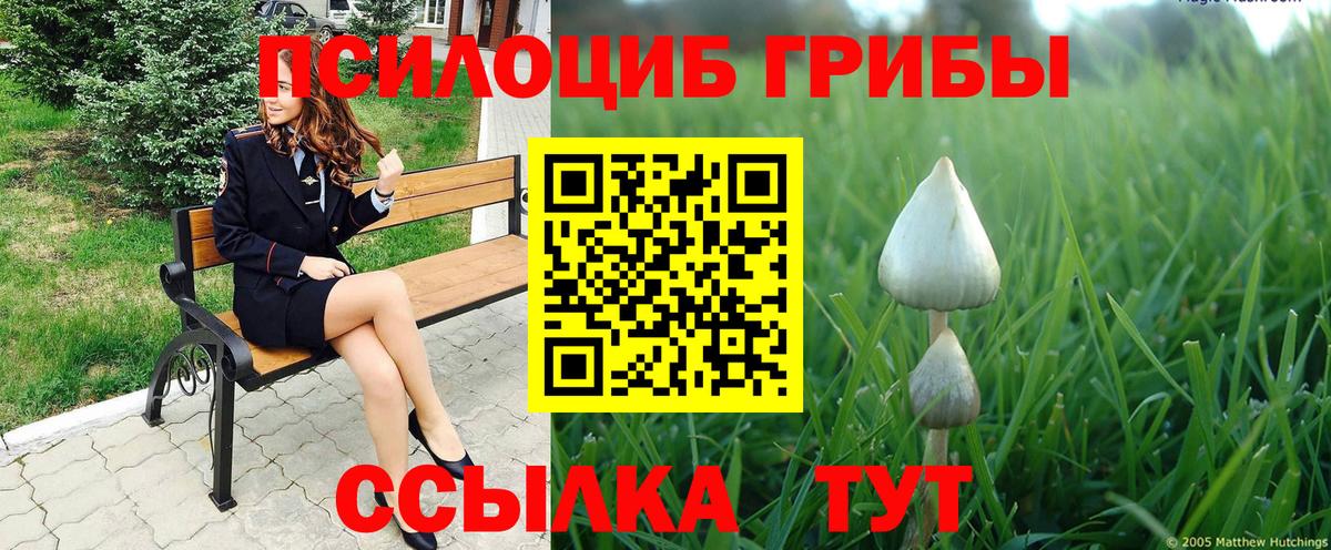 Псилоцибиновые грибы мицелий Великие Луки