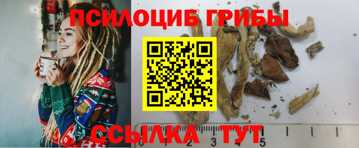 Галлюциногенные грибы Psilocybine cubensis  Вход с VPN  Великие Луки 